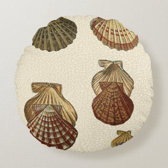Crackled Antique Shells Round Pillow (Front)