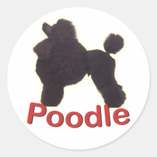 Cradle Black Poodle Sticker