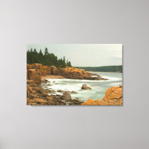 Craggy Coast, Acadia National Park, Maine Canvas Print