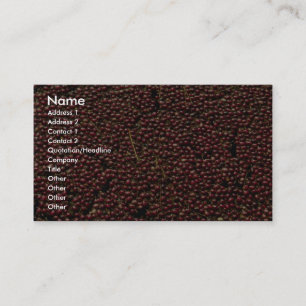 Cranberries at harvest, Plymouth, Massachusettes, Business Card