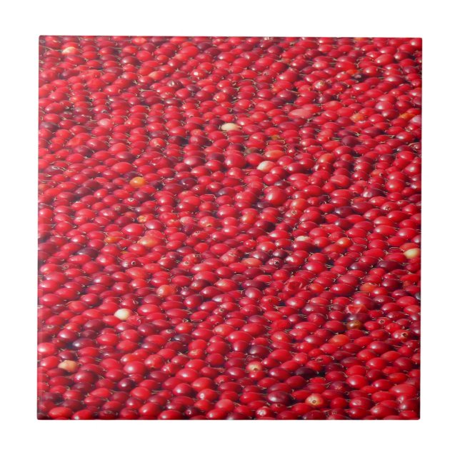 Cranberries Festive Red Tile (Front)