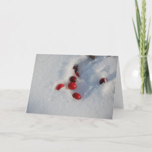 Cranberries in the Snow Holiday Card