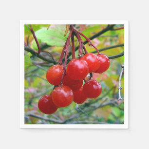 Cranberries Napkin