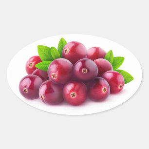 Cranberries Oval Sticker