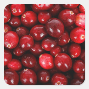 Cranberries Square Sticker