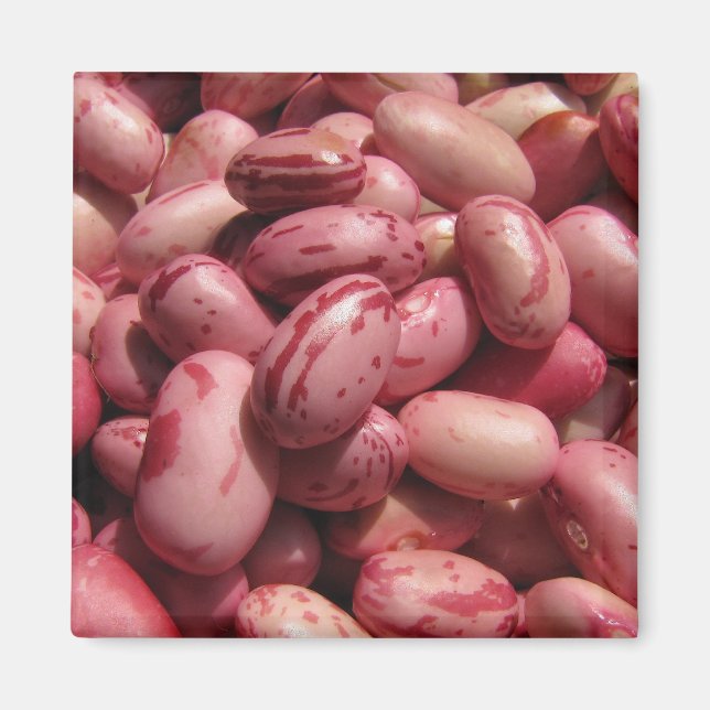 Cranberry Beans Magnet (Front)