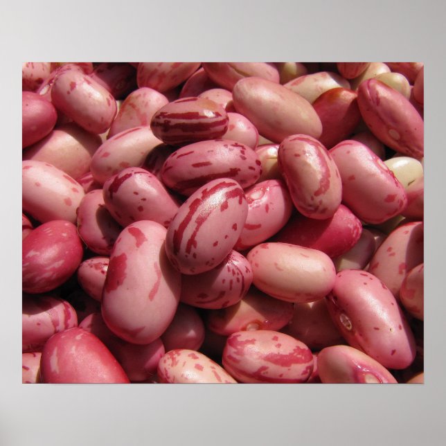Cranberry Beans Poster (Front)