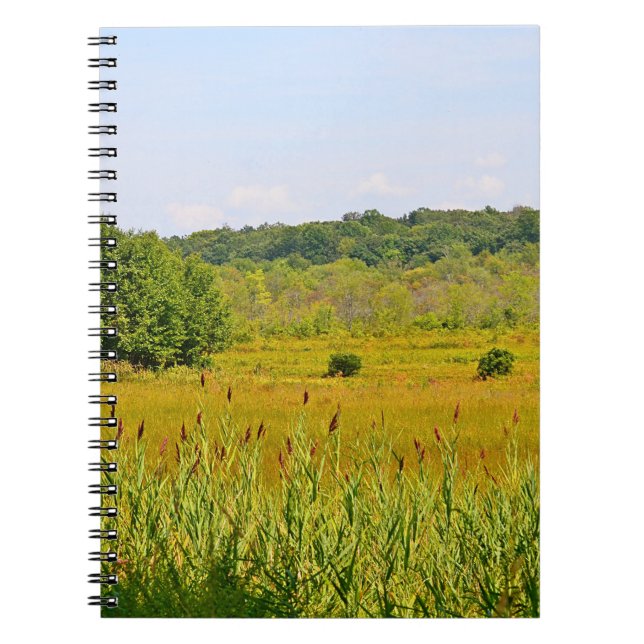 Cranberry Bog Notebook (Front)