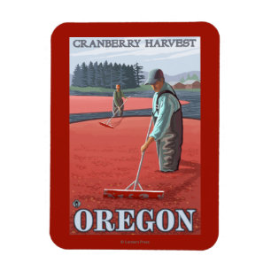 Cranberry Bogs Harvest Vintage Travel Poster Magnet