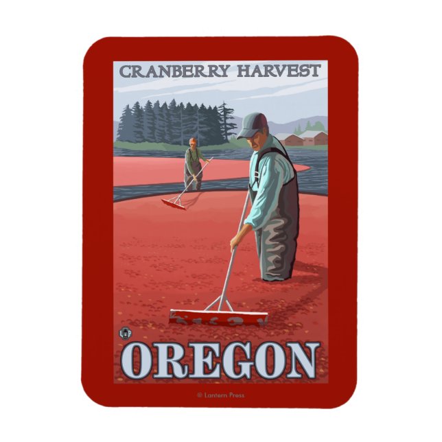Cranberry Bogs Harvest Vintage Travel Poster Magnet (Vertical)