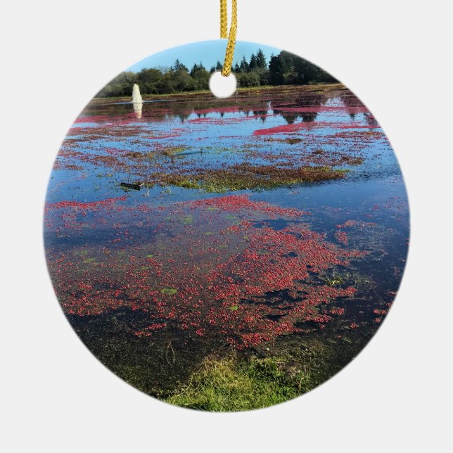 Cranberry Farm, Long Beach, Washington Ceramic Ornament (Front)