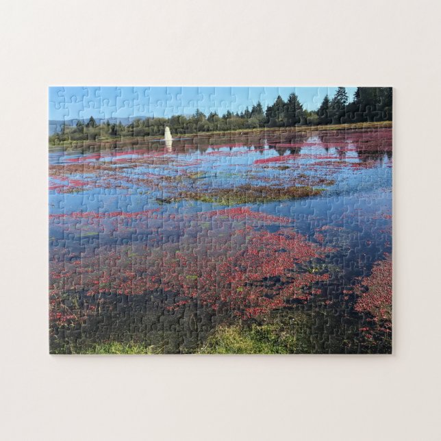 Cranberry Farm, Long Beach, Washington Jigsaw Puzzle (Horizontal)