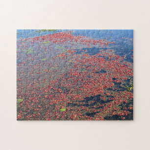 Cranberry Farm, Long Beach, Washington Jigsaw Puzzle