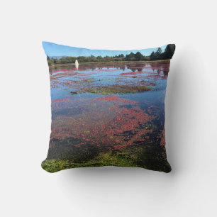 Cranberry Farm, Long Beach, Washington Throw Pillow
