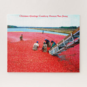 Cranberry Harvest New Jersey. Jigsaw Puzzle