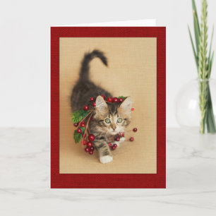 Cranberry Kitten Holiday Card