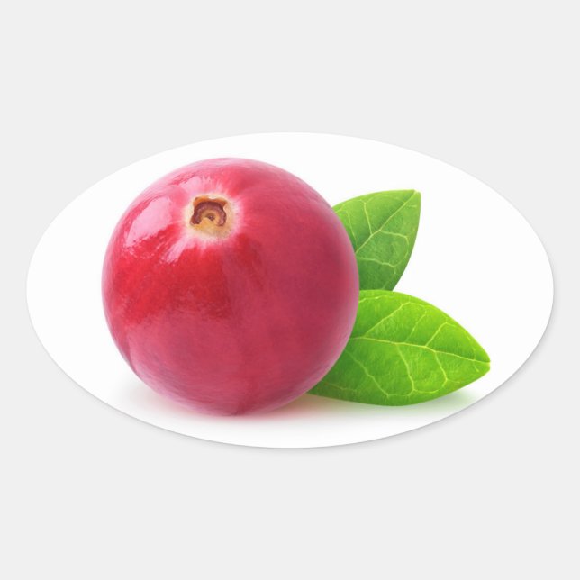 Cranberry Oval Sticker (Front)