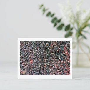 cranberry stir postcard