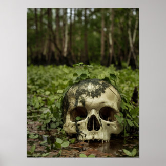 Crâne dans le marais Horreur Imprimer Poster Mur A