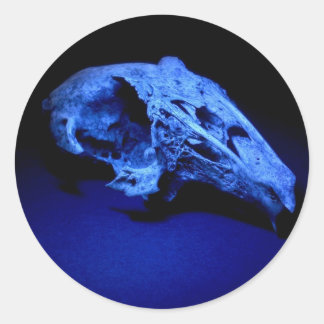 Crâne de lapin - Ensemble de 20 autocollants