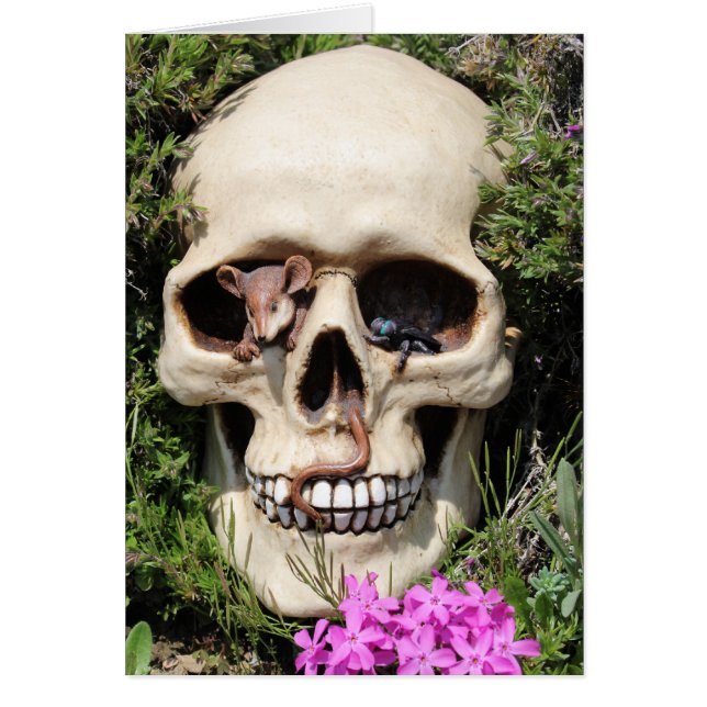 Crâne de mort (Devant)