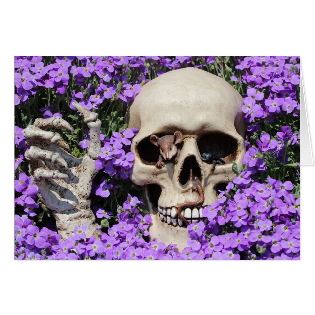 Crâne de mort (Devant horizontal)