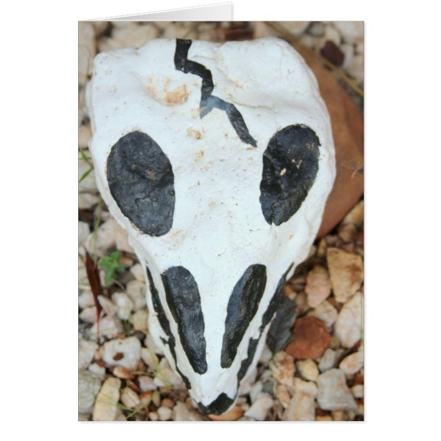 crâne dia del muerte (Devant)