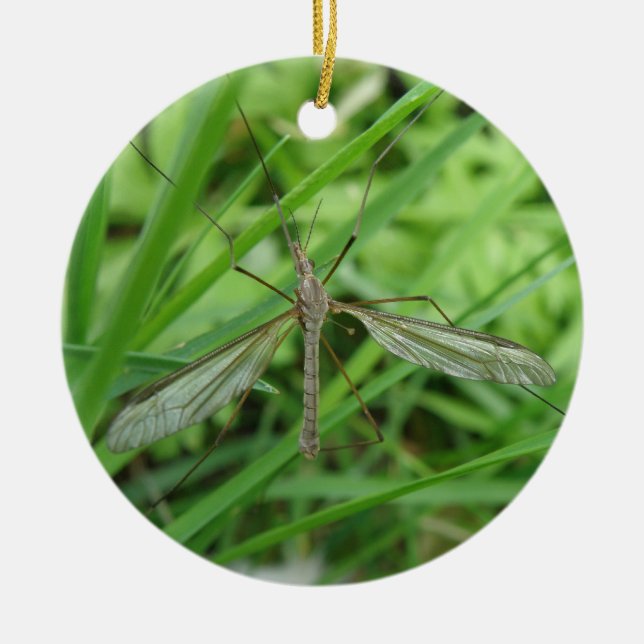 Crane Fly Custom Birthday Ceramic Ornament (Front)
