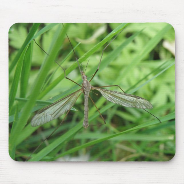 Crane Fly Mousepad (Front)