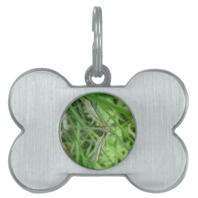 Crane Fly Pet Tag (Front)