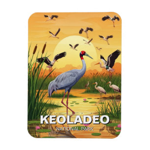 Crane in Keoladeo National Park India Travel Magnet