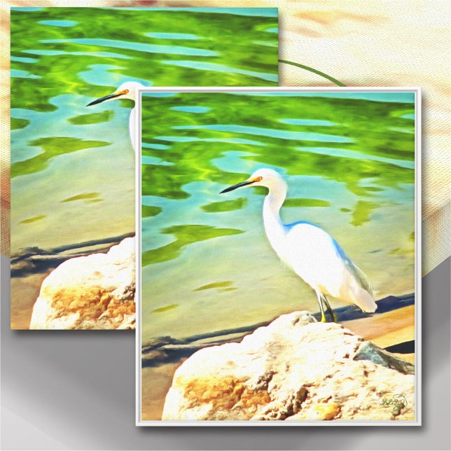 Crane On The Mismaloya River 0335 Art Canvas Print (Creator Uploaded)