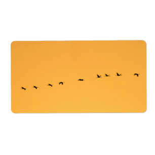 Cranes at sunrise