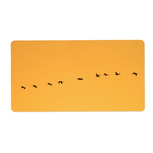 Cranes at sunrise (Front)