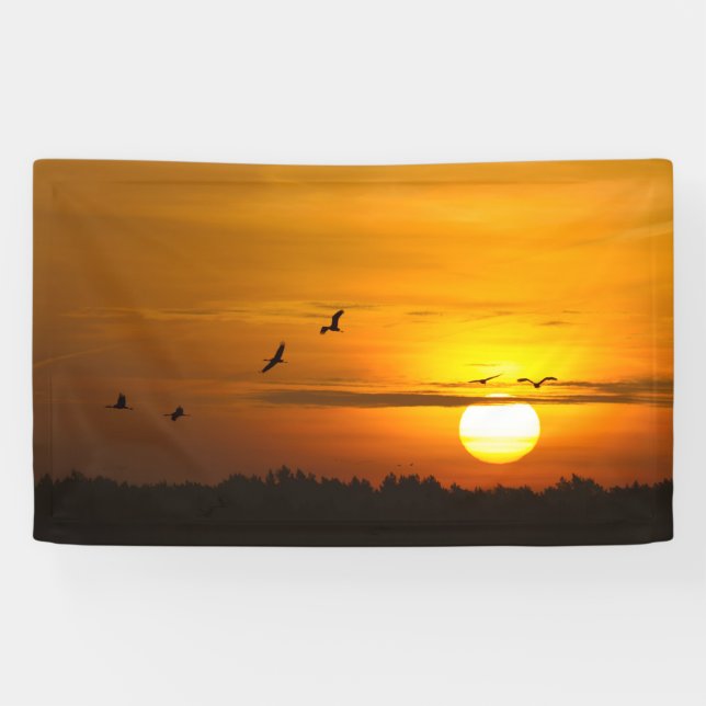 Cranes at sunrise banner (Horizontal)