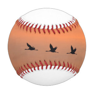 Cranes at sunrise baseball