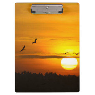 Cranes at sunrise clipboard