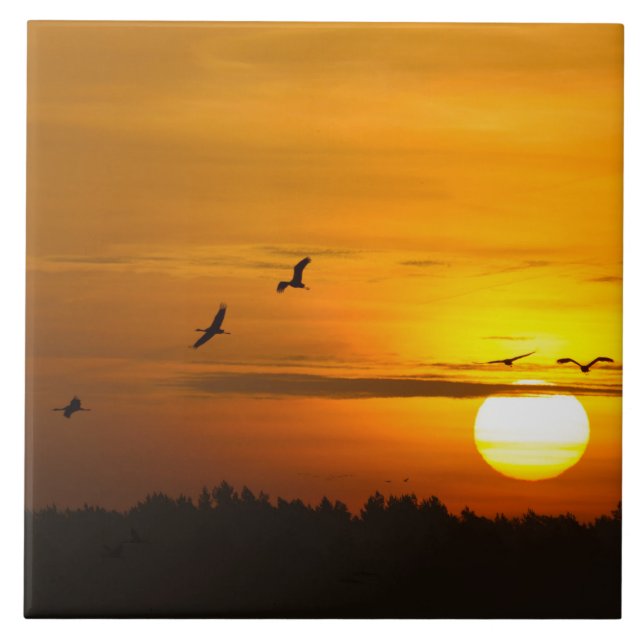 Cranes at sunrise tile (Front)