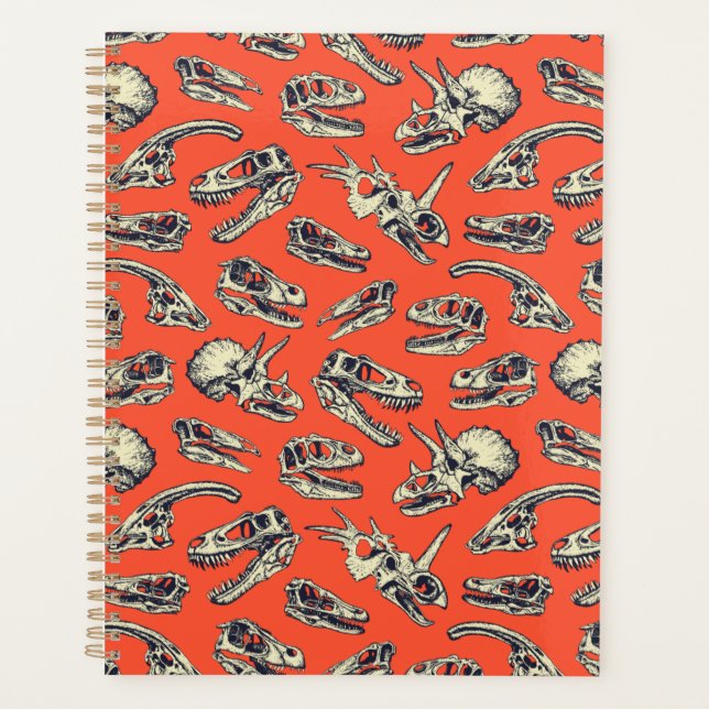 Crânes de dinosaures orange et marine (Devant)