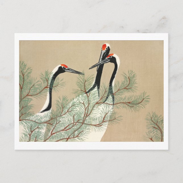 Cranes from Momoyogusa Postcard (Front)