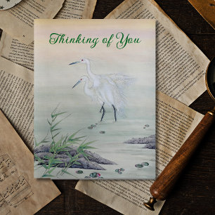Cranes in Chinese River Postcard
