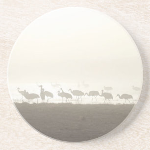 Cranes in the mist coaster