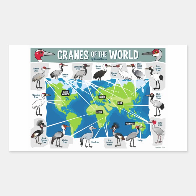 Cranes of the World Sticker (Front)