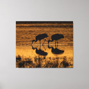 Cranes Silhouetted by the Sunset Canvas Print