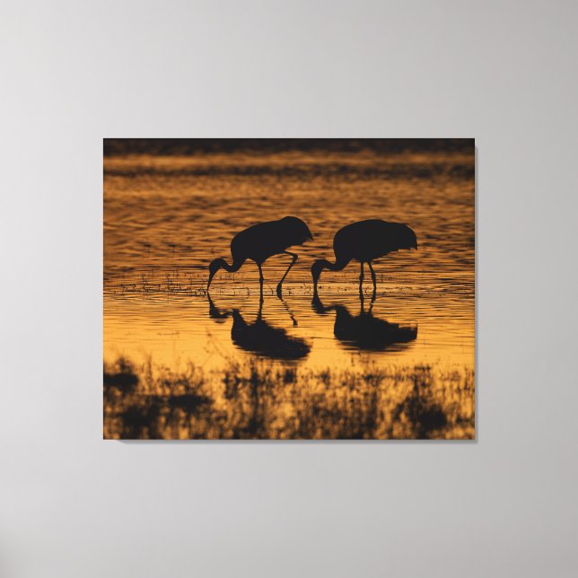 Cranes Silhouetted by the Sunset Canvas Print (Front)
