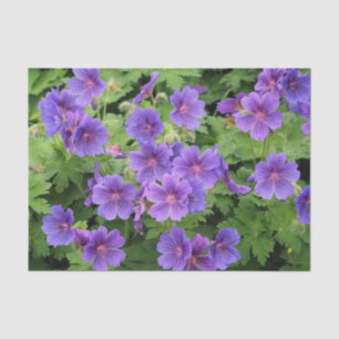 Cranesbill Geranium Tissue Paper