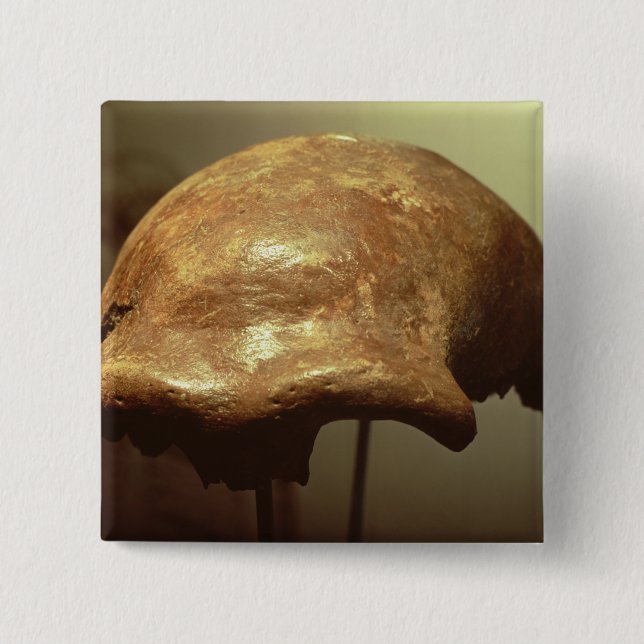 Cranium of a Neanderthal 2 Inch Square Button (Front)