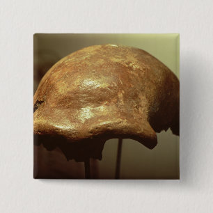 Cranium of a Neanderthal 2 Inch Square Button