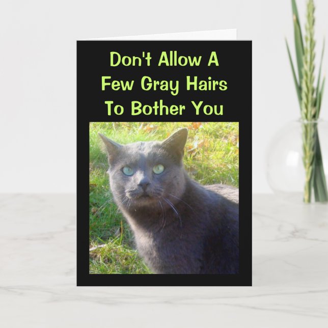 Cranky Cat Humourous Birthday Card (Front)