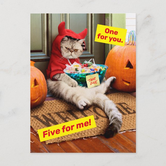 Cranky Devil Cat Invitation Postcard (Front)